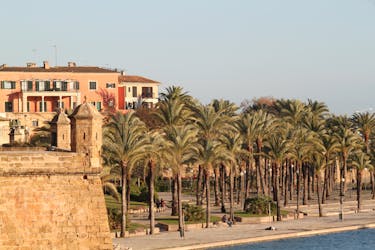 Palma City half-day tour with transport from the South Area